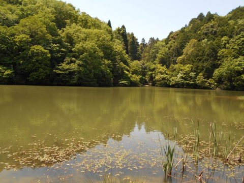 鈴ヶ滝湖