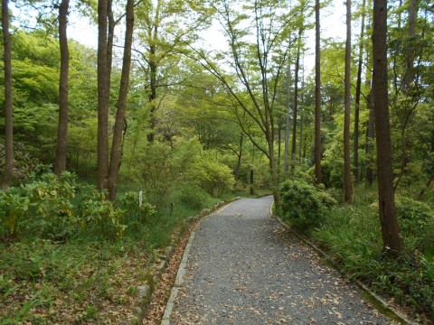 愛知県緑化センター