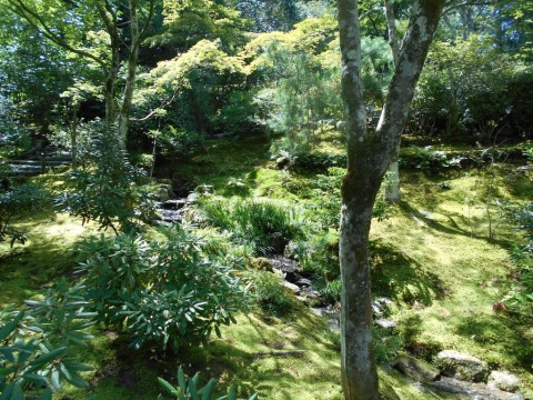 天龍寺庭園の小川と静寂
