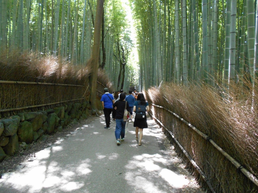 竹林の小径と野宮神社
