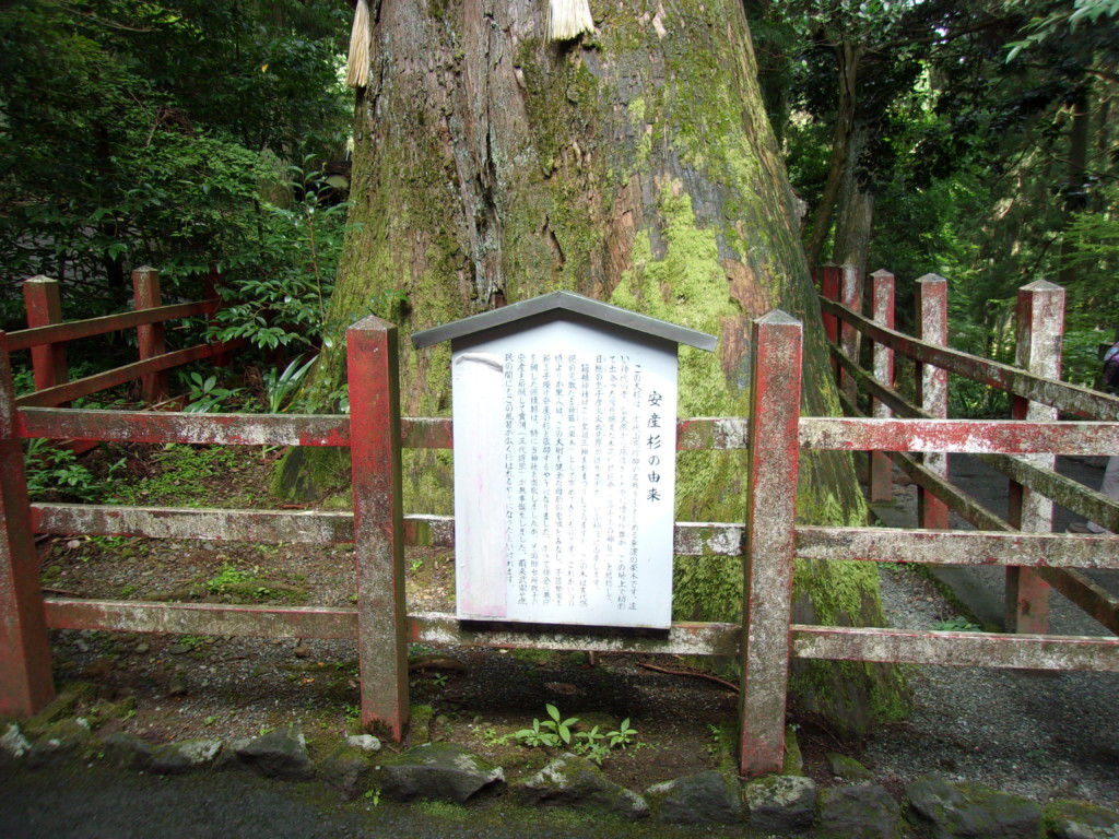 箱根神社と九頭龍神社 観光旅行はベストミックス