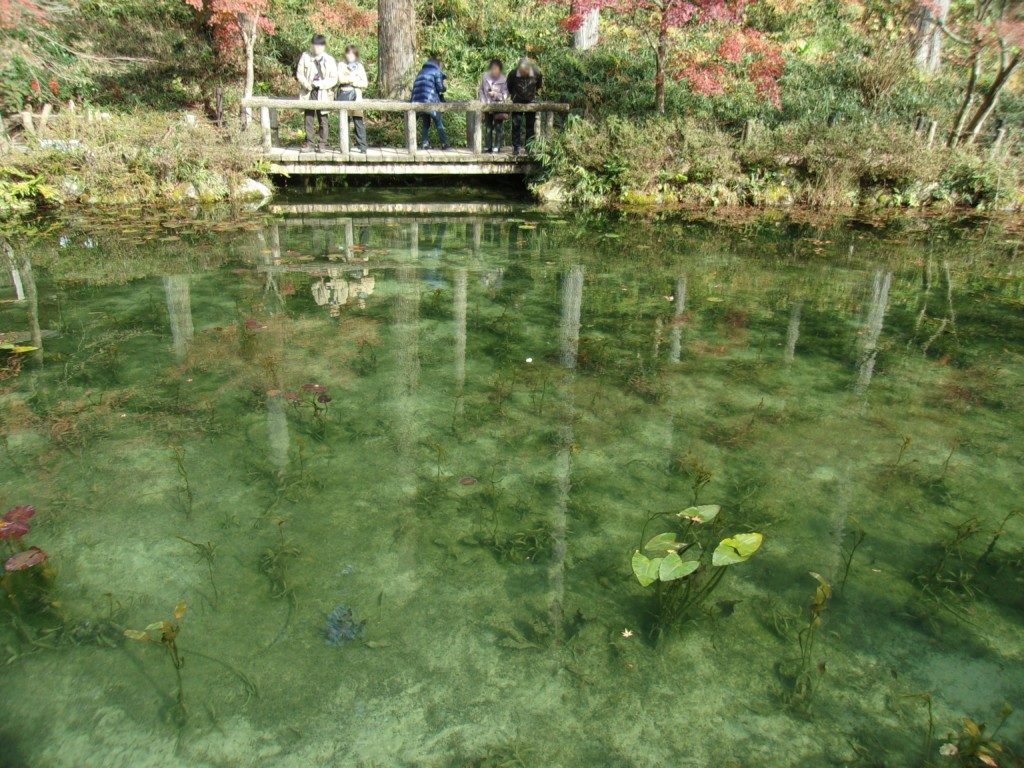 モネの池と板取川温泉