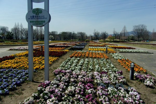 鈴鹿フラワーパーク