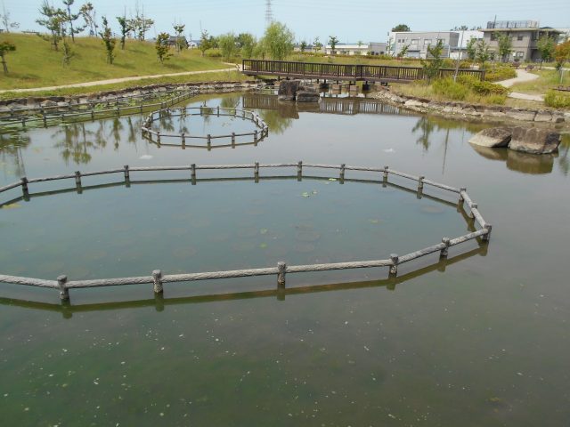 水性花園