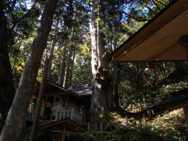 神坂神社